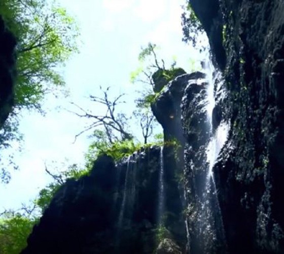 青山綠水，白龍江畔江畔息白鷺，兩岸綠橄欖入眼的都是純樸自然枝上花開(kāi)，春來(lái)水暖魚(yú)蝦戲水，鳥(niǎo)語(yǔ)花香心中充滿(mǎn)著舒暢之感祥宇生態(tài)產(chǎn)業(yè)園，位于隴南市武..